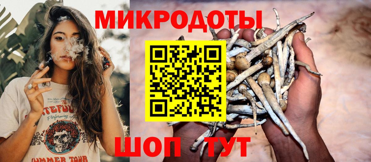 Псилоцибиновые грибы GOLDEN TEACHER Балахна